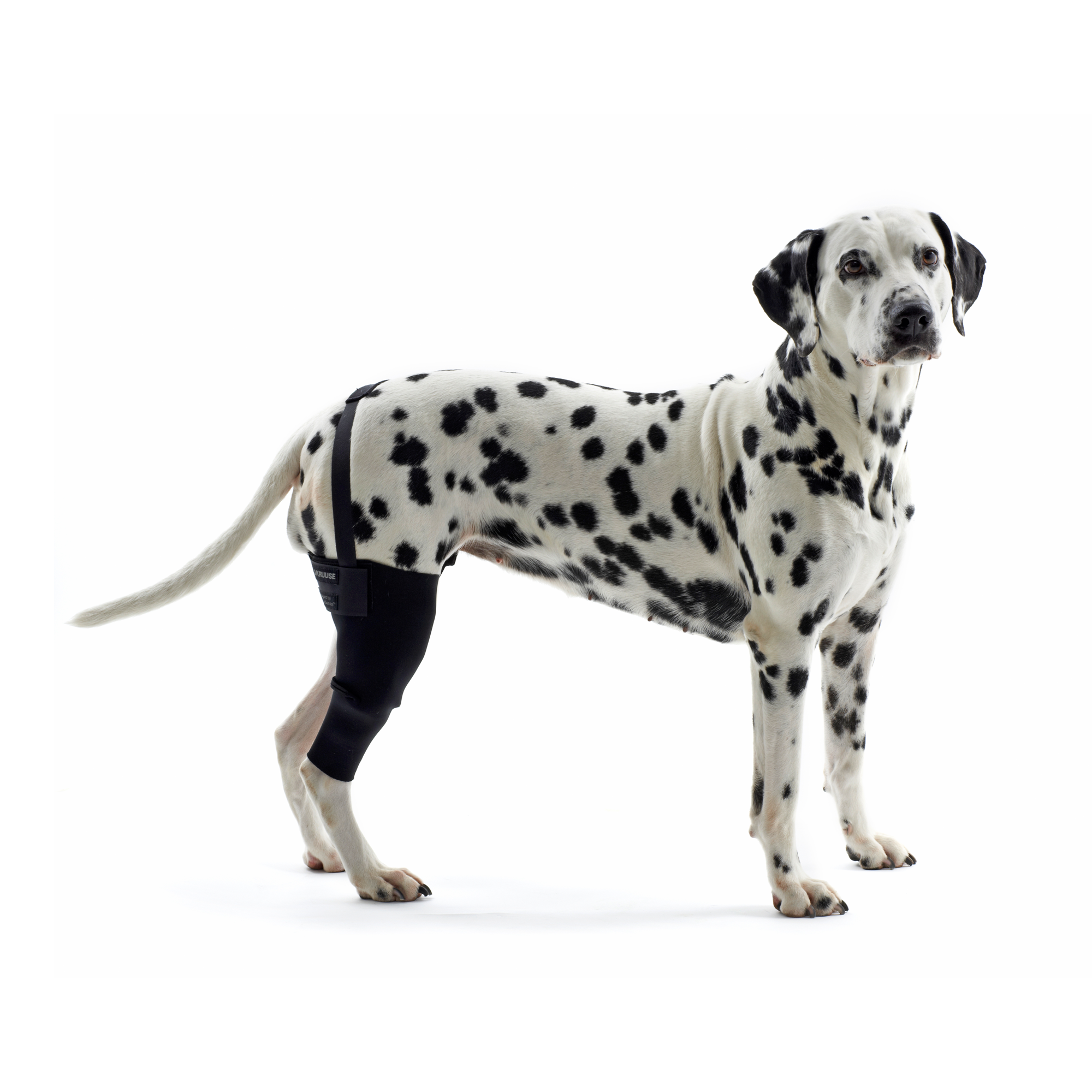 KRUUSE Rehab Kniegelenkschutz, XXL, links 