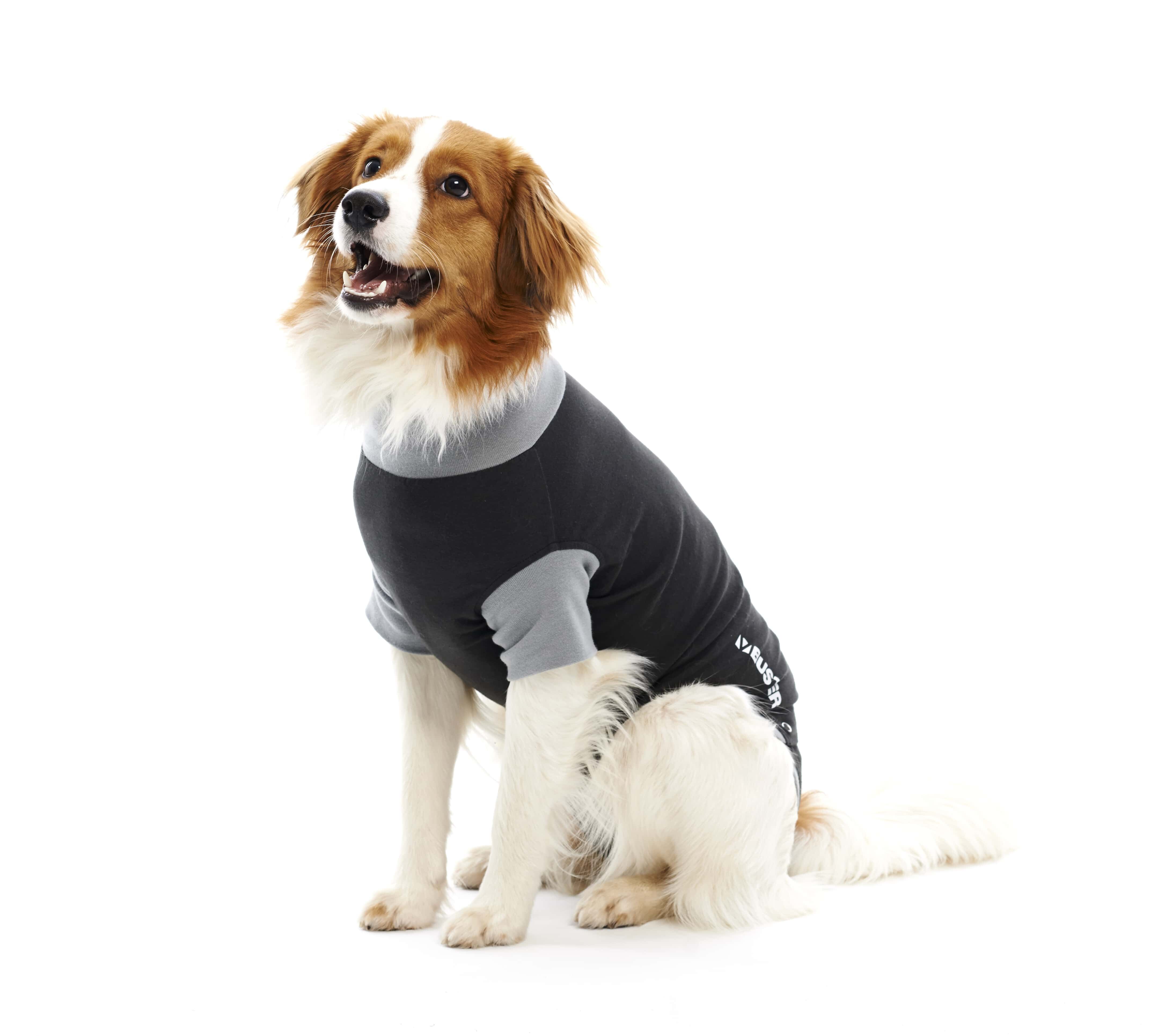 BUSTER Body Suit EasyGo für Hunde, 25 cm, XXXS