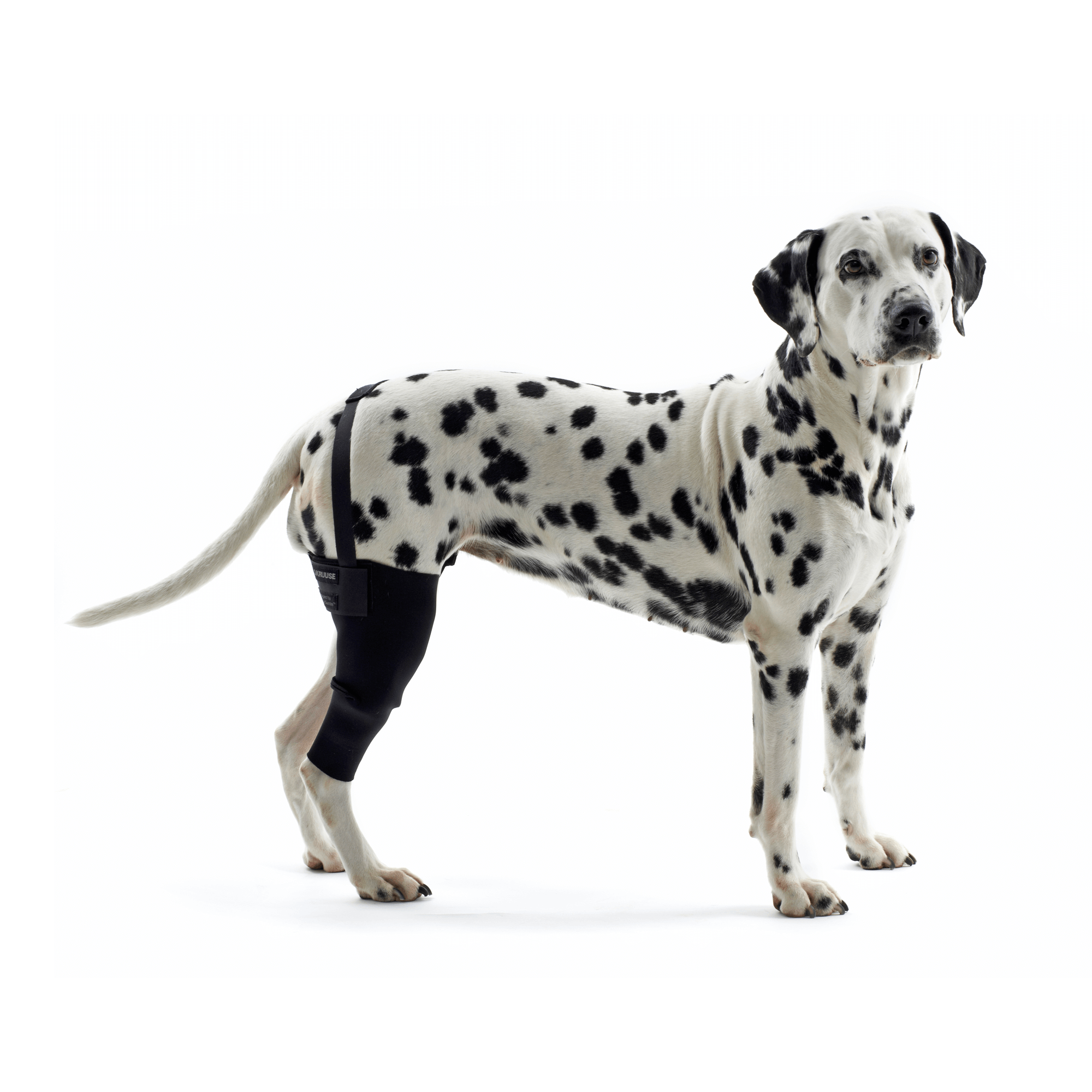 KRUUSE Rehab Kniegelenkschutz, XL, rechts